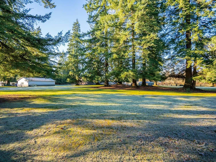 26267 64 Avenue, Langley, BC, V4W 1M3 - 20