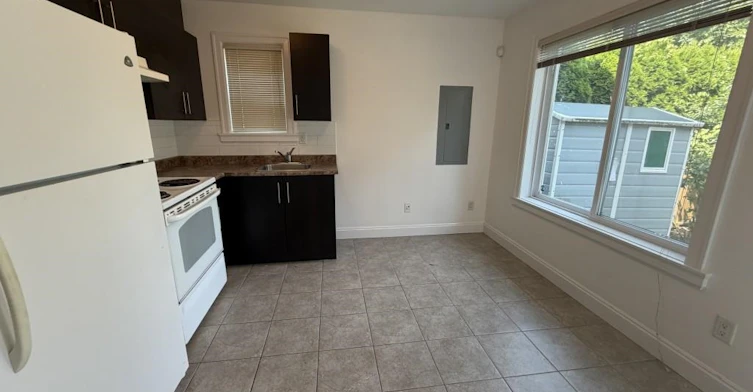 Basement (West)-2629 Pandora Street, Vancouver, BC, V5K 1V9 - 4
