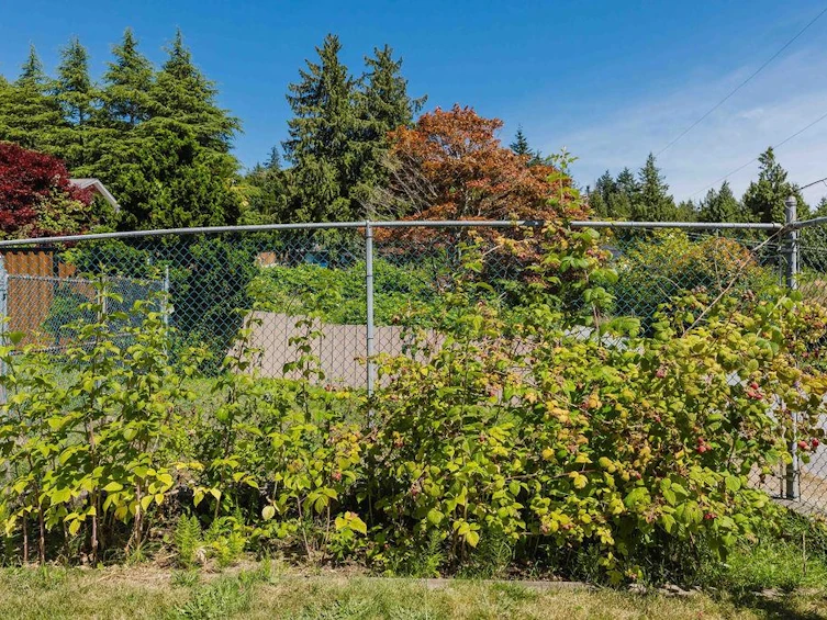 6505 Meier Road, Sechelt, BC, V7Z 0S8 - 34