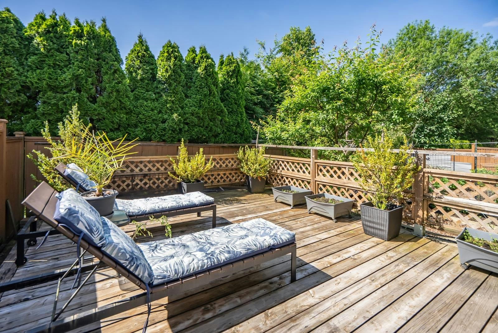 33764 Blueberry Drive, Mission, BC, V2V 7A1 - 31