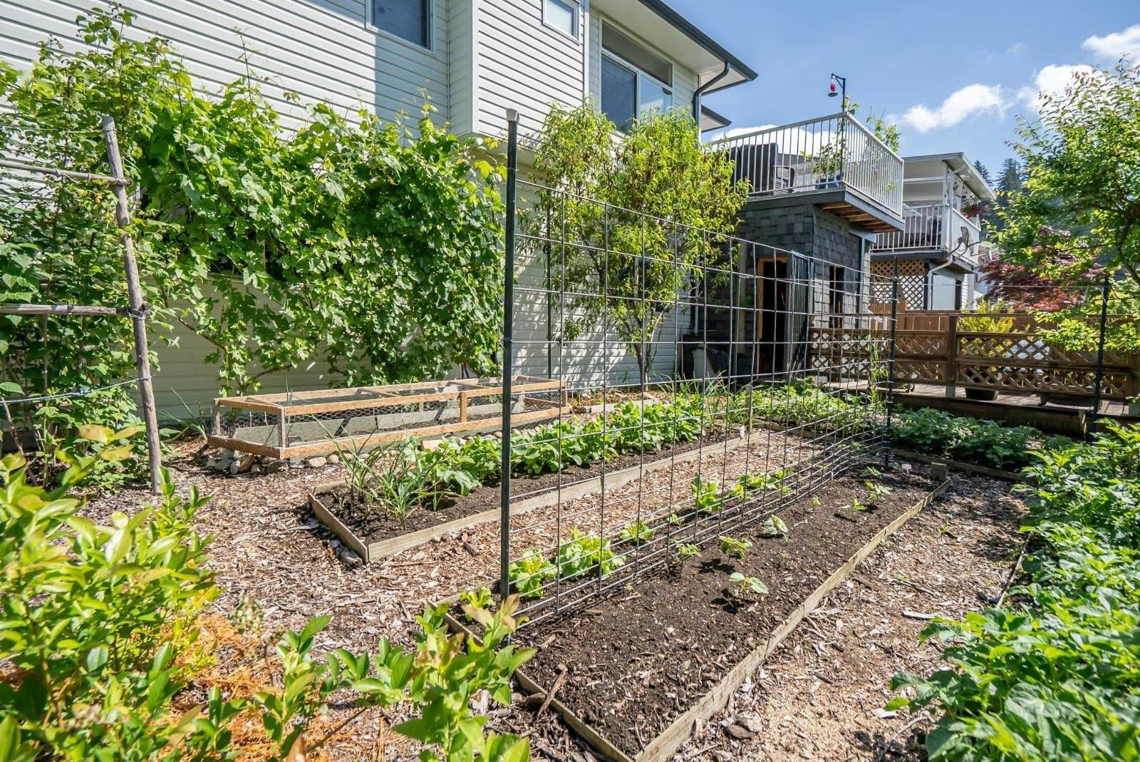 33764 Blueberry Drive, Mission, BC, V2V 7A1 - 36