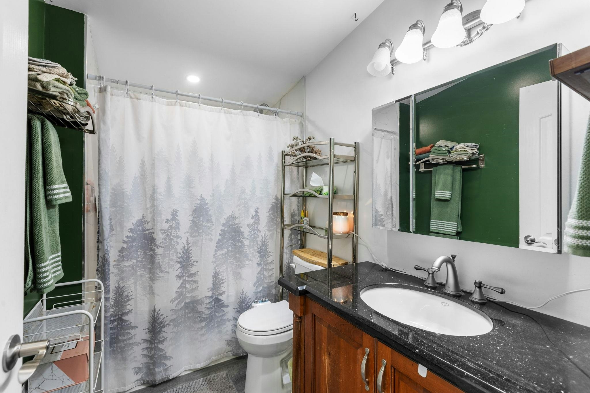 12468 Carr Street, Mission, BC, V4S 1B9 - 25