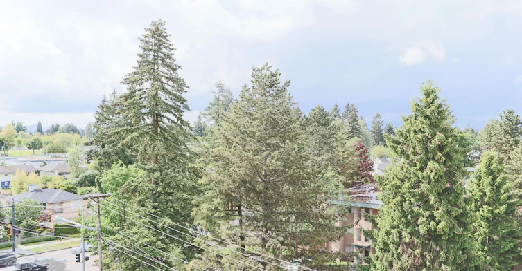 206-13238 105 Avenue, Surrey, BC, V3T 0W1 - 34
