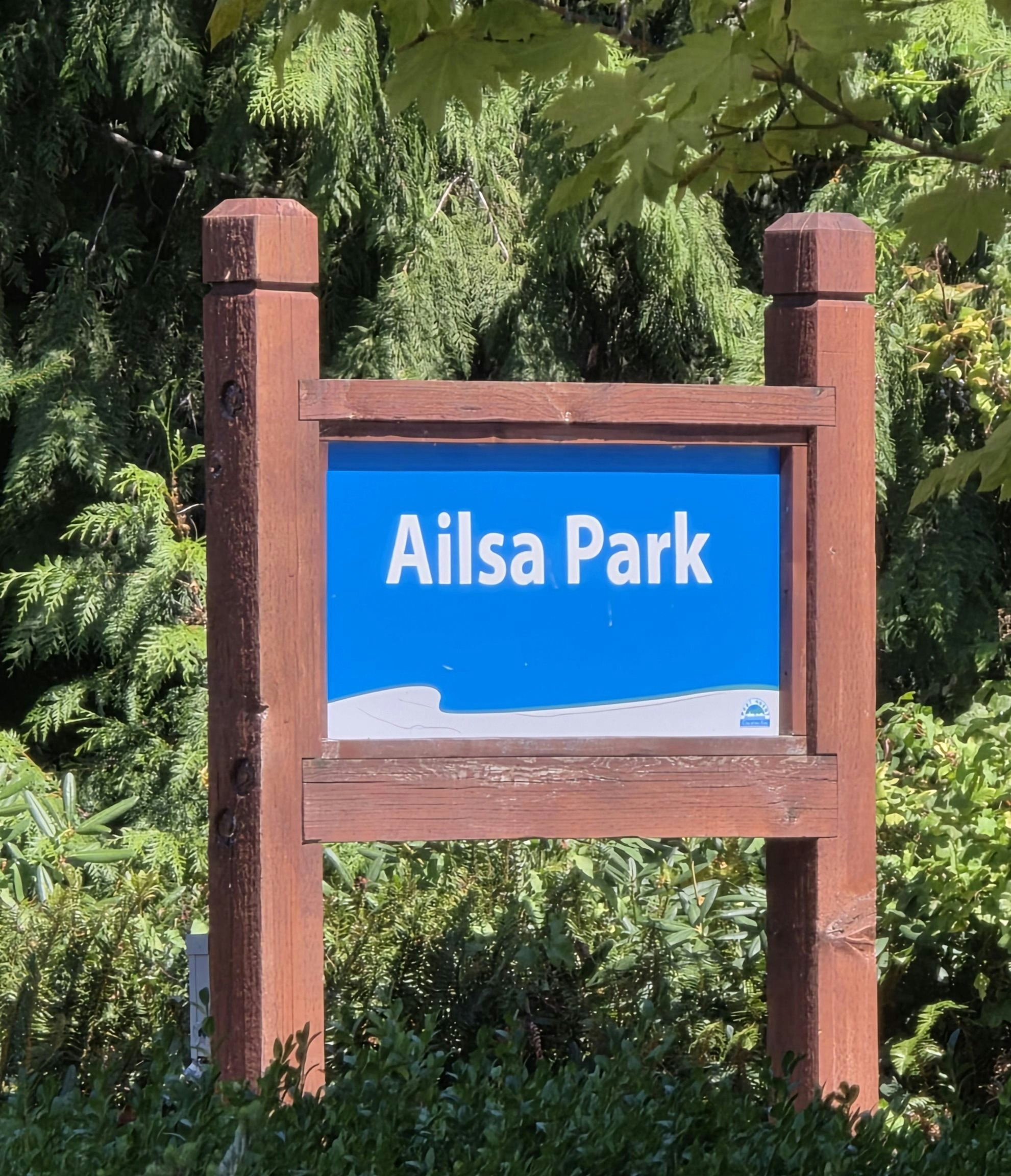 517 Ailsa Avenue, Port Moody, BC, V3H 1A5 - 40