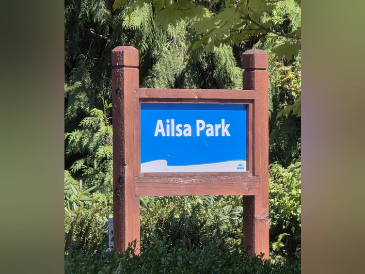 517 Ailsa Avenue, Port Moody, BC, V3H 1A5 - 40