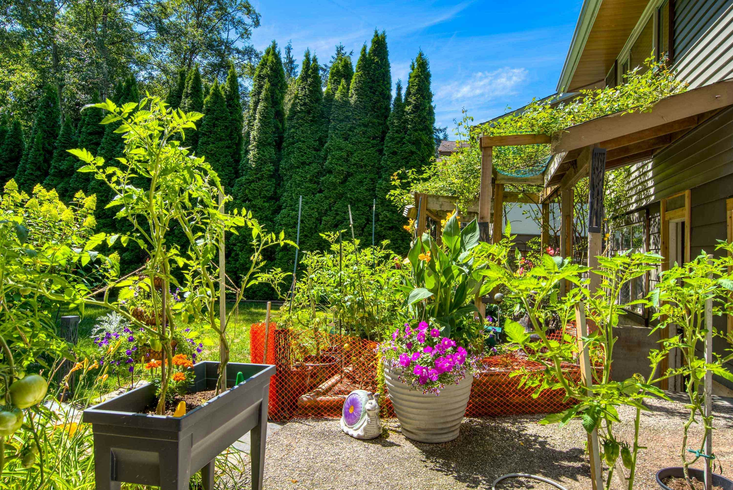 517 Ailsa Avenue, Port Moody, BC, V3H 1A5 - 37