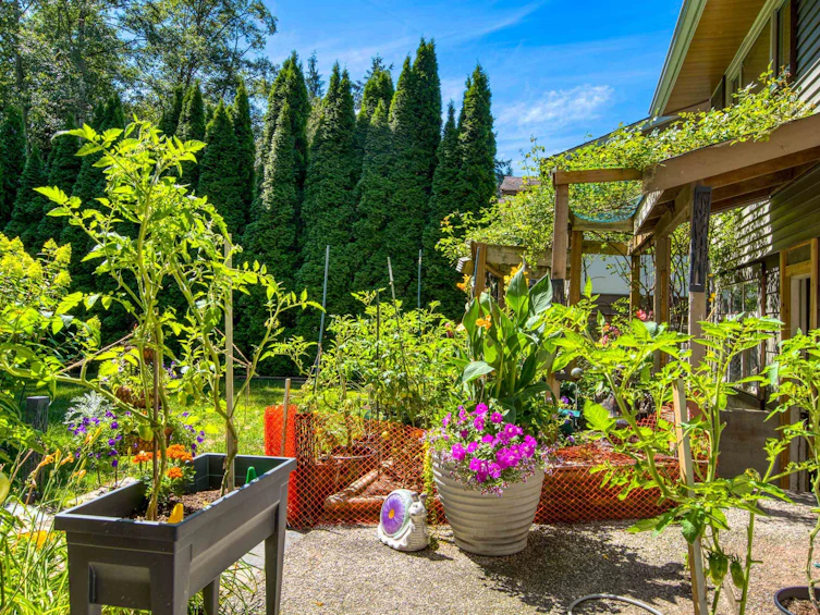 517 Ailsa Avenue, Port Moody, BC, V3H 1A5 - 37