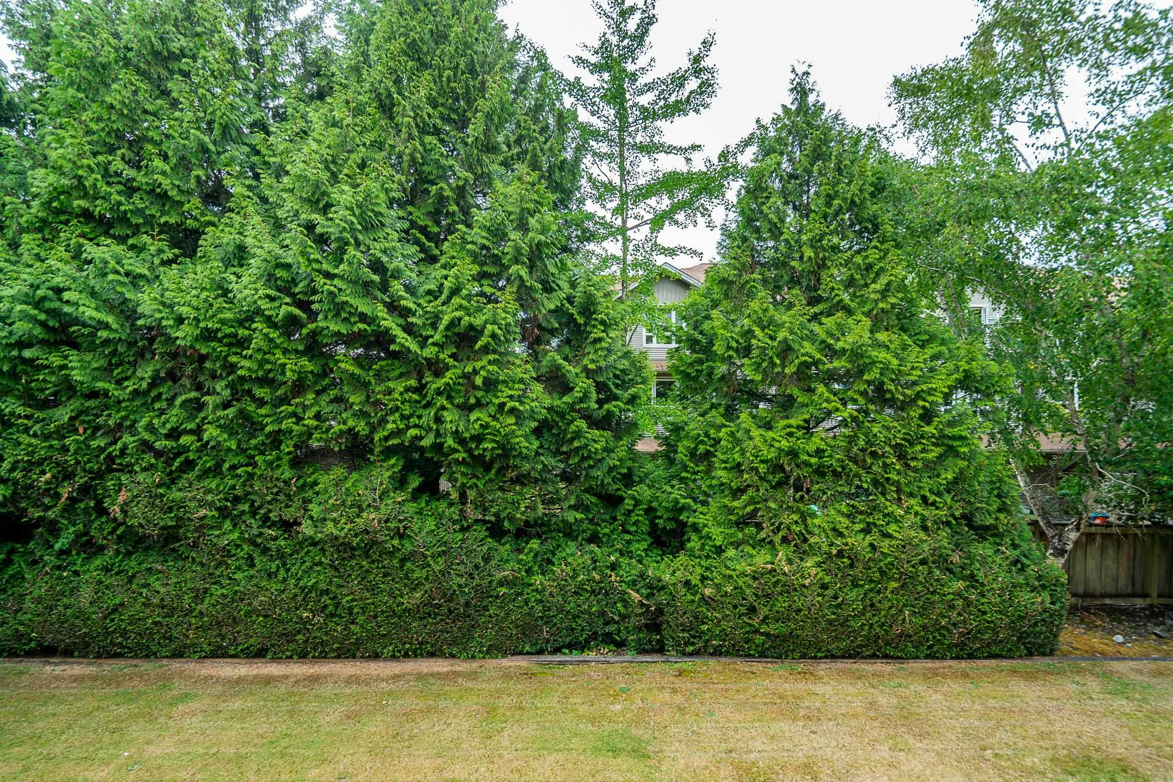 212-12733 72 Avenue, Surrey, BC, V3W 2M7 - 31