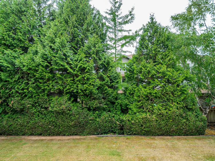 212-12733 72 Avenue, Surrey, BC, V3W 2M7 - 31