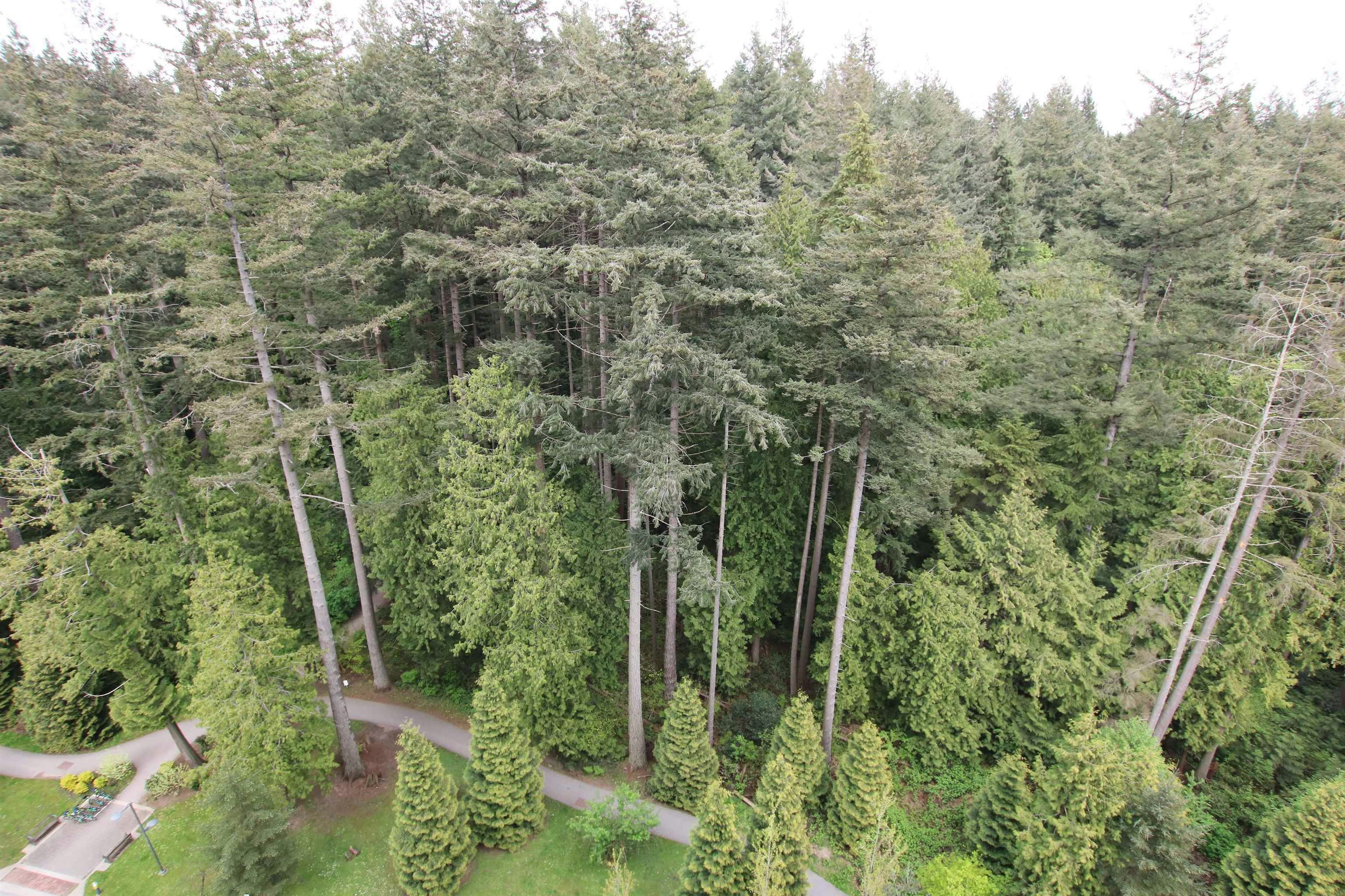 1107-3487 Binning Road, Vancouver, BC, V6S 0K8 - 6