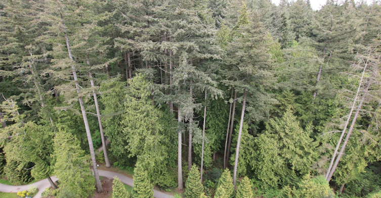 1107-3487 Binning Road, Vancouver, BC, V6S 0K8 - 6