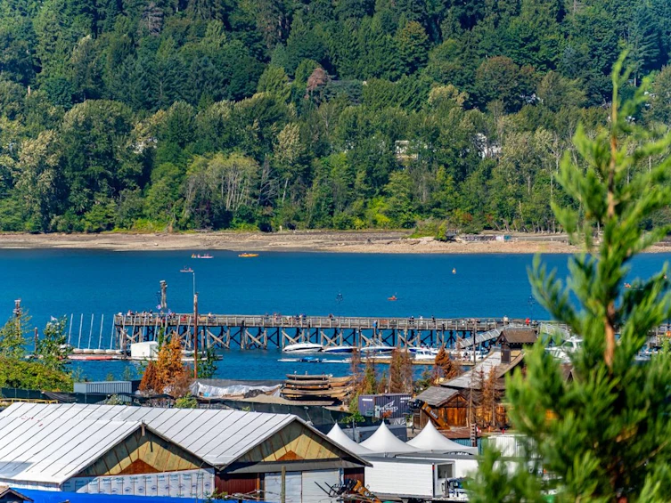 2316 St. Andrews Street, Port Moody, BC, V3H 2A8 - 38