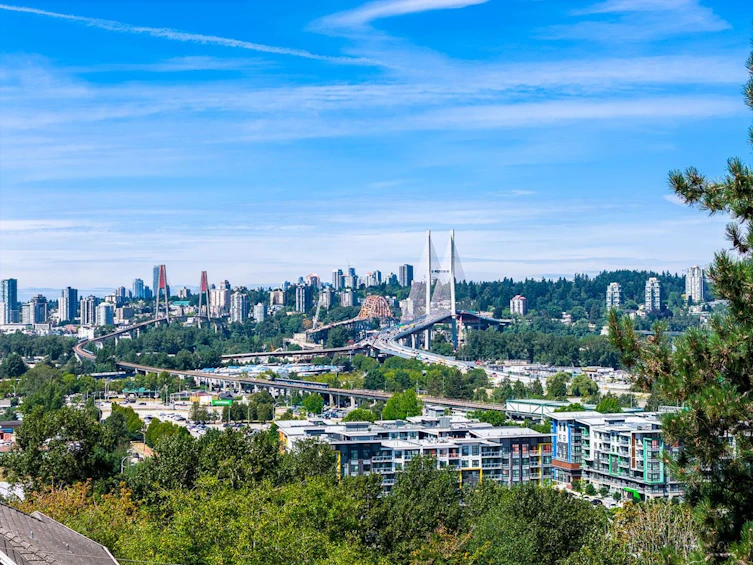 10956 128a Street, Surrey, BC, V3T 3G2 - 39