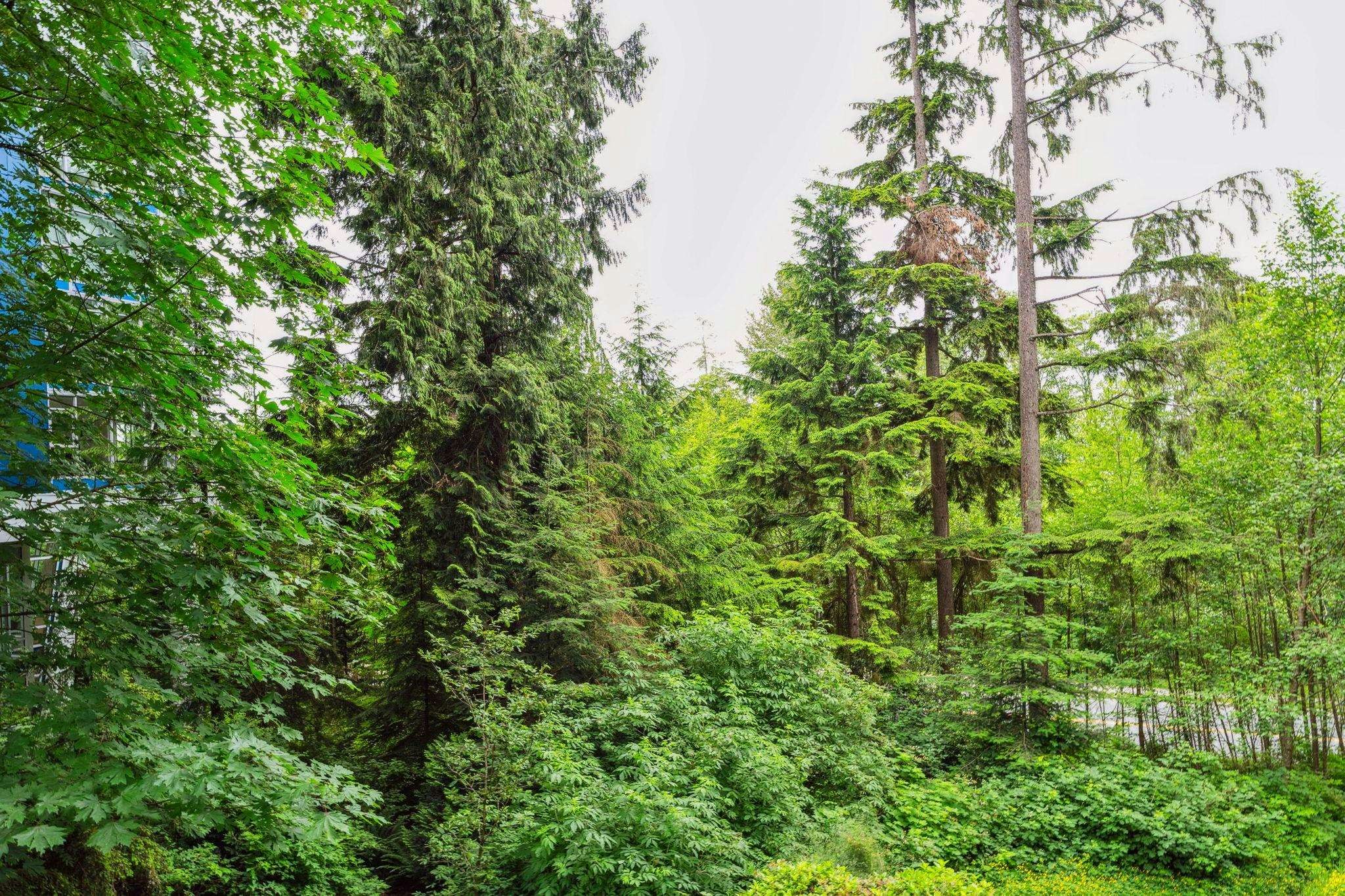 002-9060 University Crescent, Burnaby, BC, V5A 0E1 - 15
