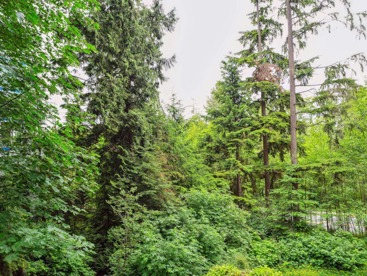 002-9060 University Crescent, Burnaby, BC, V5A 0E1 - 15
