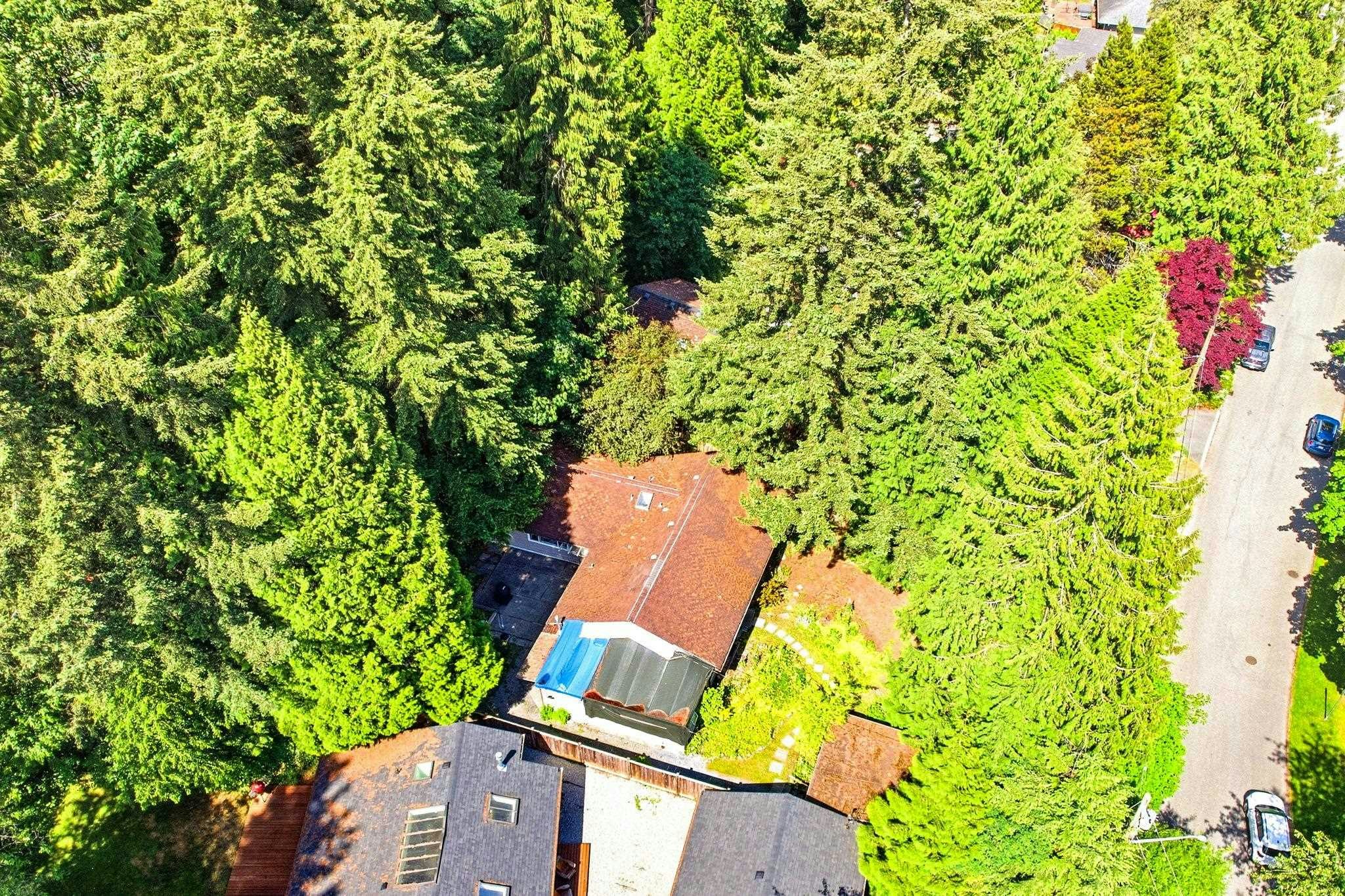 1463 Avonlynn Crescent, North Vancouver, BC, V7J 2V2 - 20