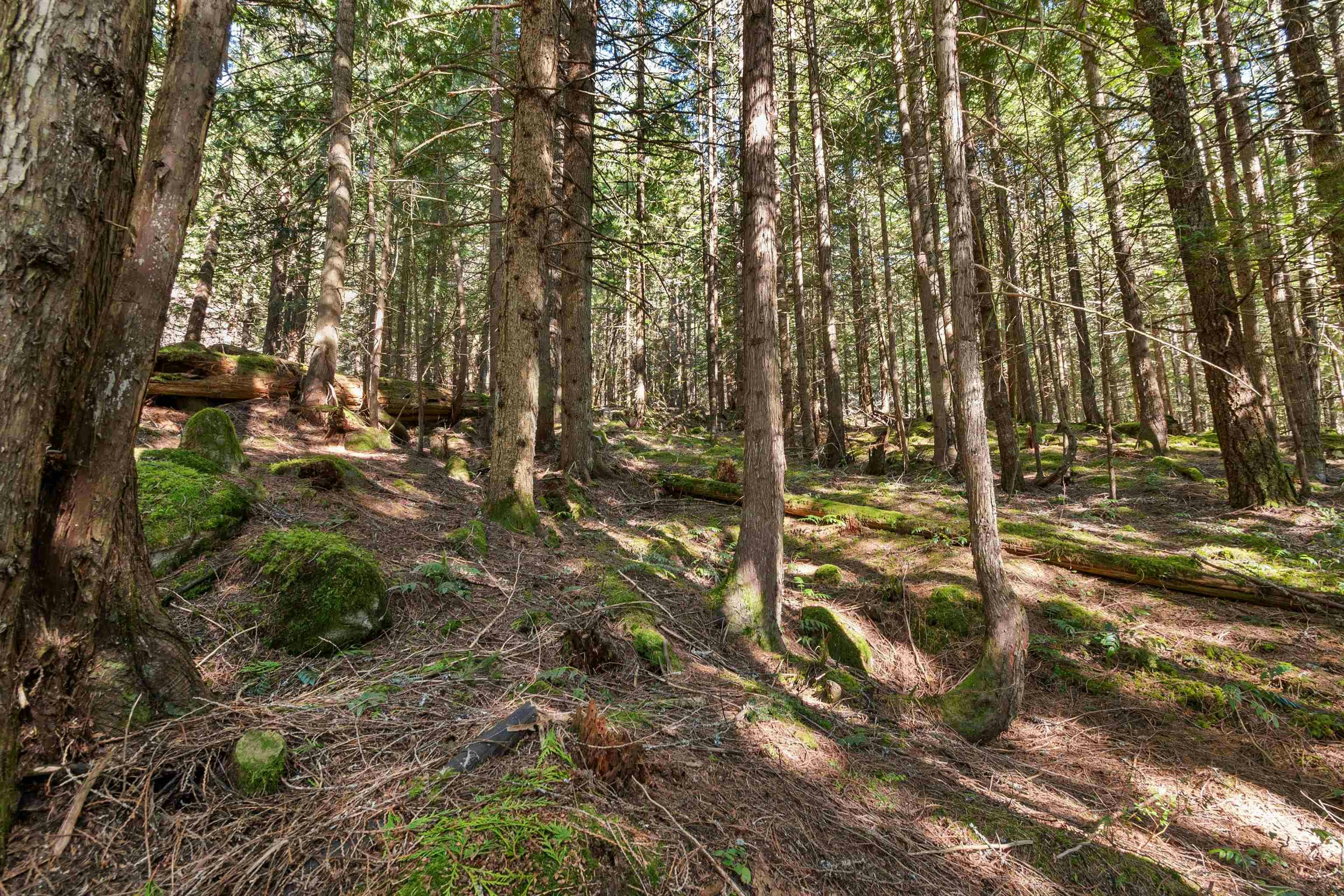 H68 Strawberry Lane, Hope, BC, V0X 1L5 - 23