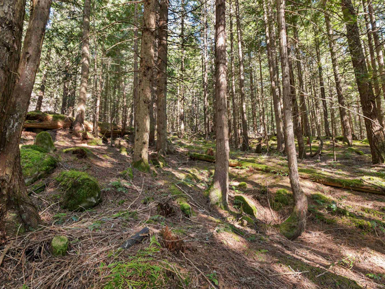 H68 Strawberry Lane, Hope, BC, V0X 1L5 - 23