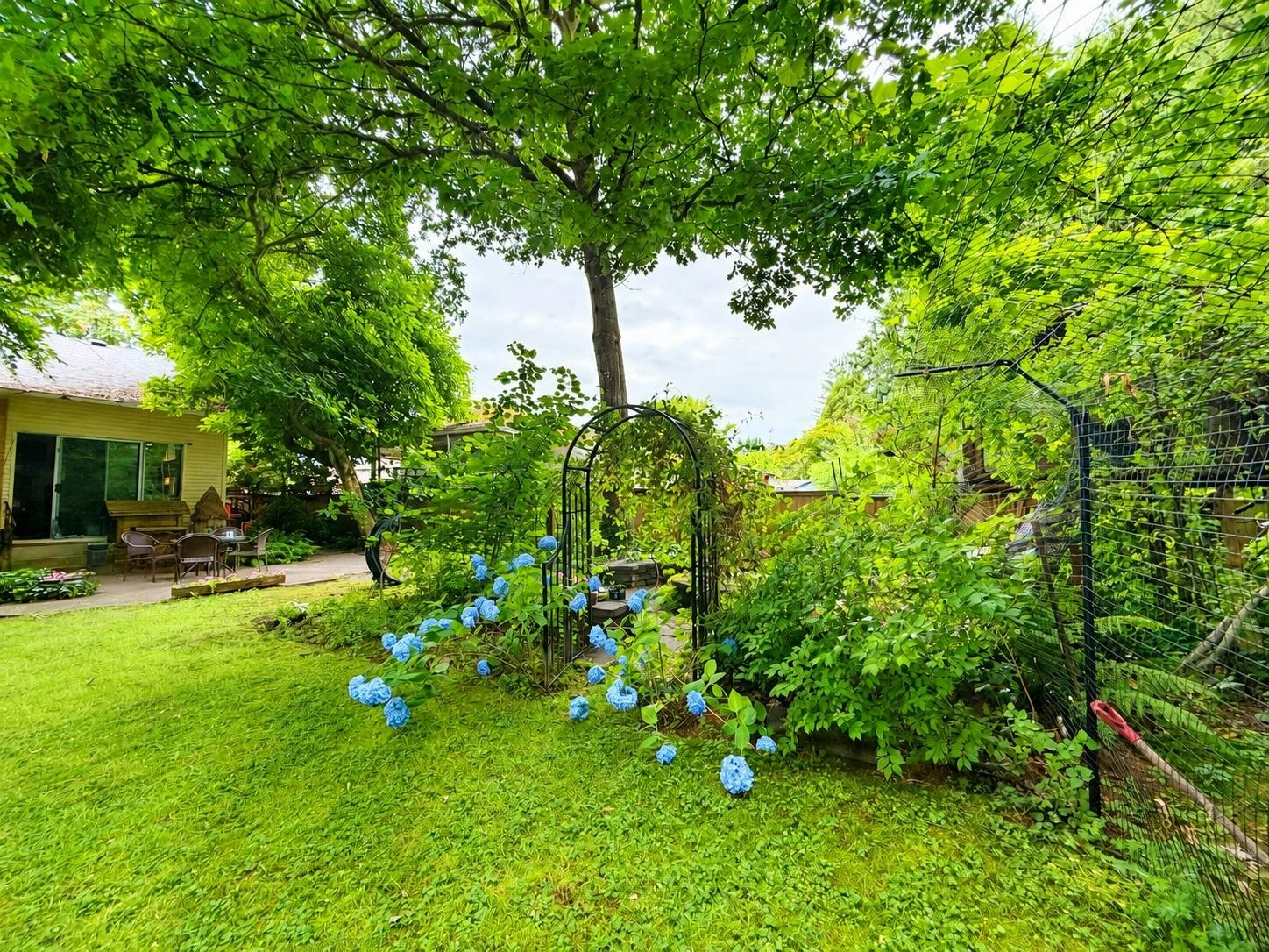 11530 Wood Street, Maple Ridge, BC, V2X 4Z9 - 2