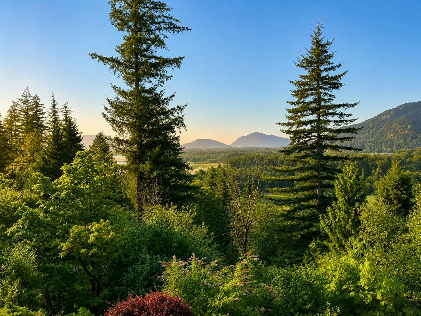 1459 Highlands Boulevard, Agassiz, BC, V0M 1A1 - 20