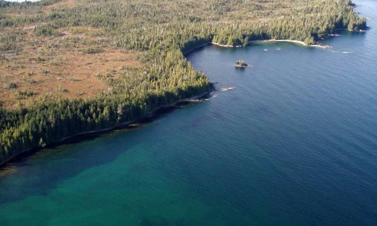 DL-1303 Goble Point