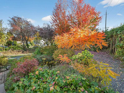 7561 Angus Drive - 5