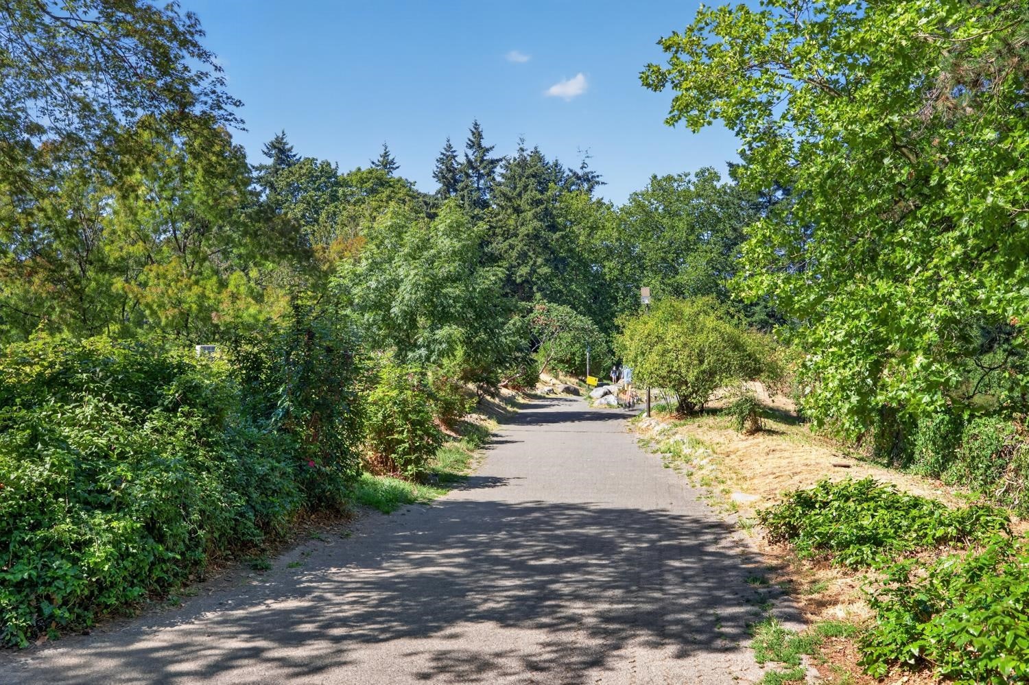 829 W 7th Avenue, Vancouver, BC, V5Z 1C2 - 30
