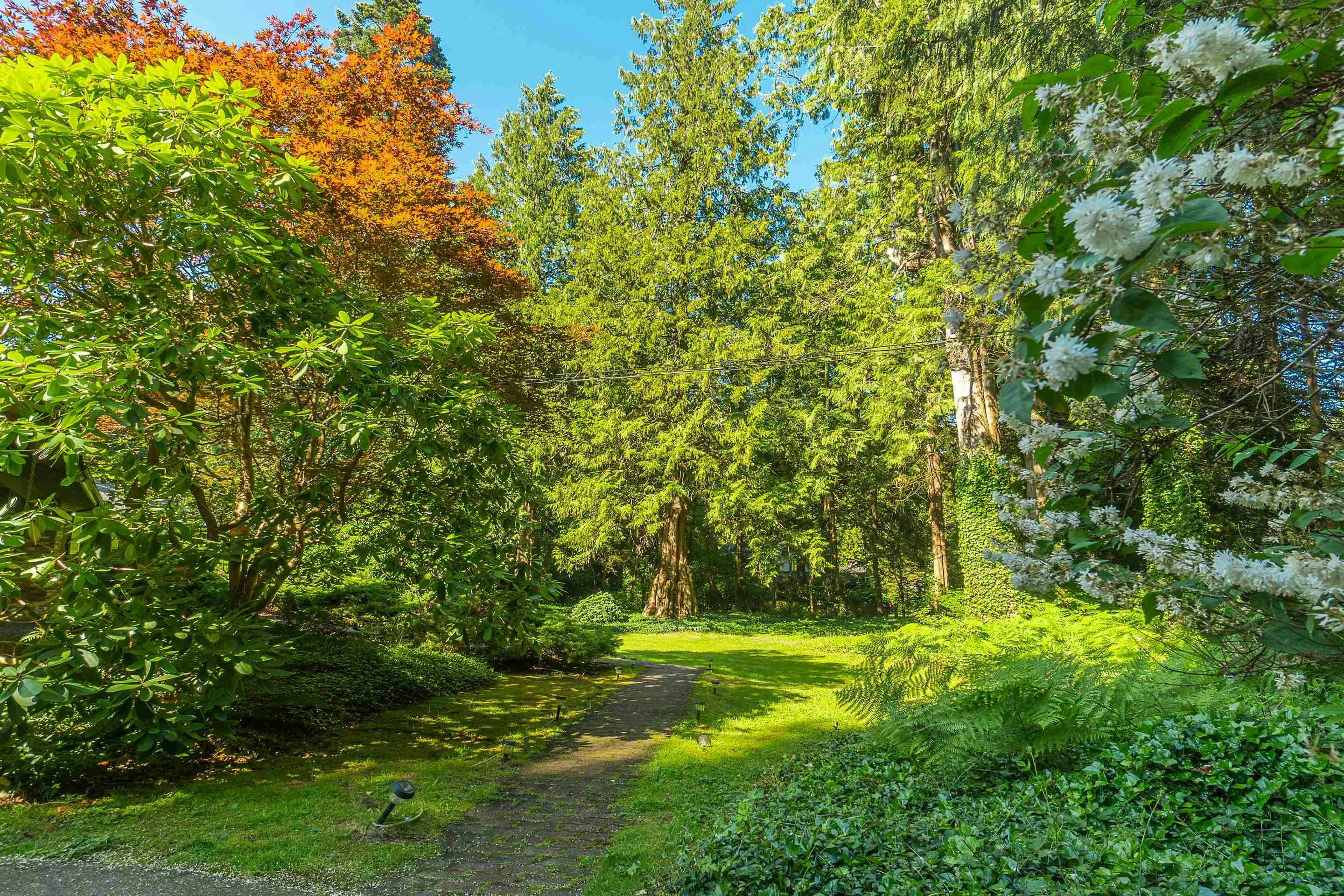 13425 Woodcrest Drive, Surrey, BC, V4P 1W3 - 7