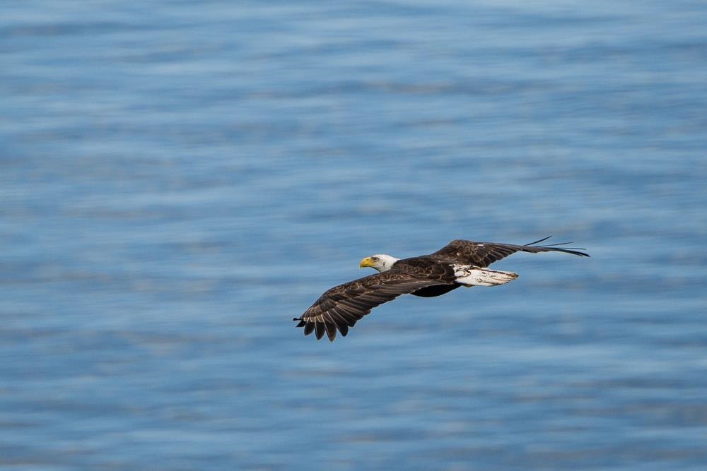 7918 Swanson View Drive, Pender Island, BC, V0N 2M2 - 36