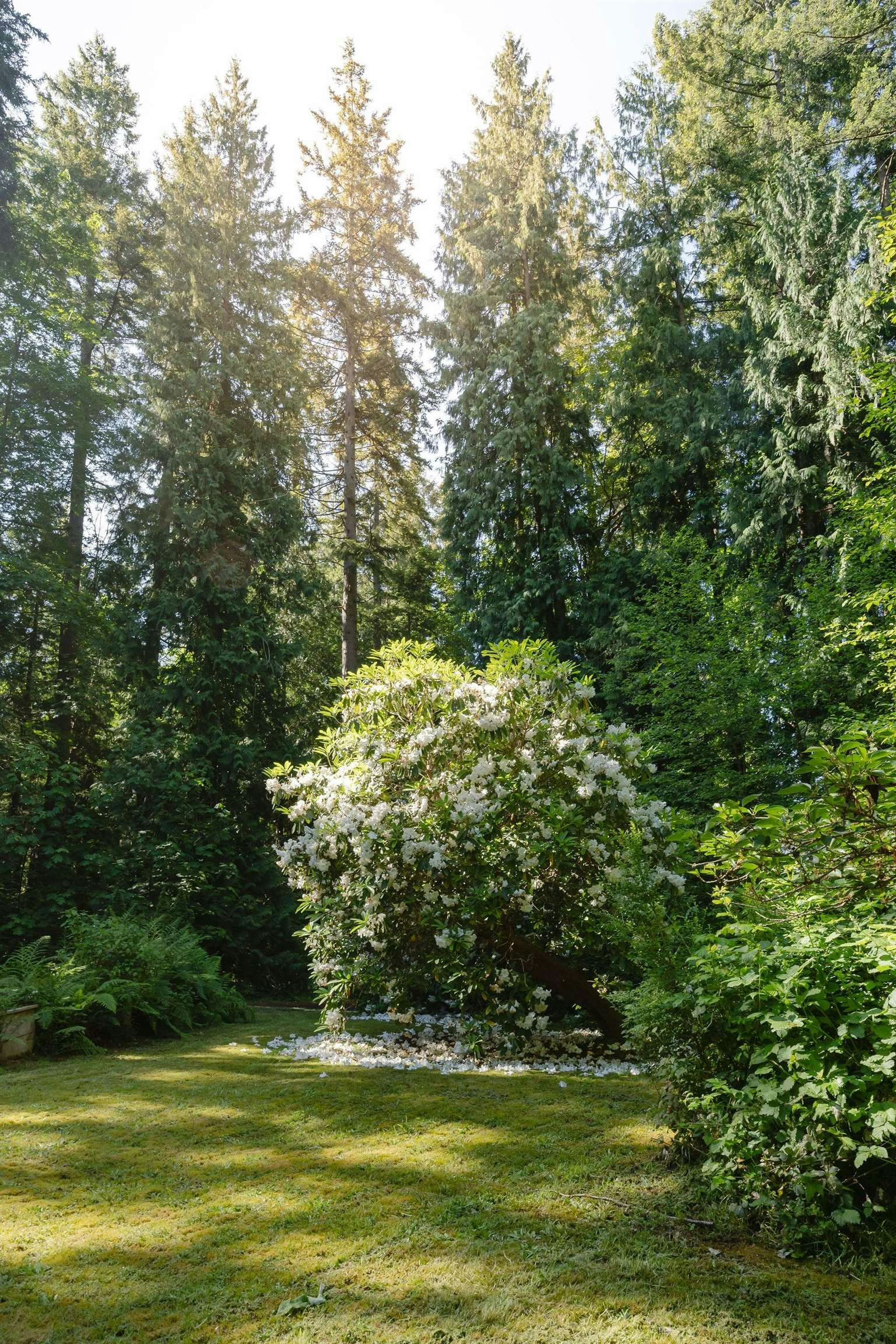 2867 Lower Road, Roberts Creek, BC, V0N 2W6 - 20
