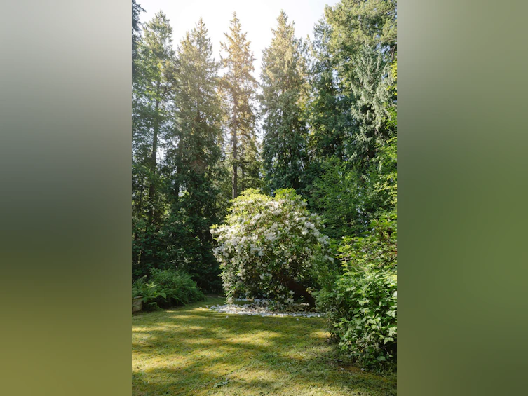2867 Lower Road, Roberts Creek, BC, V0N 2W6 - 20