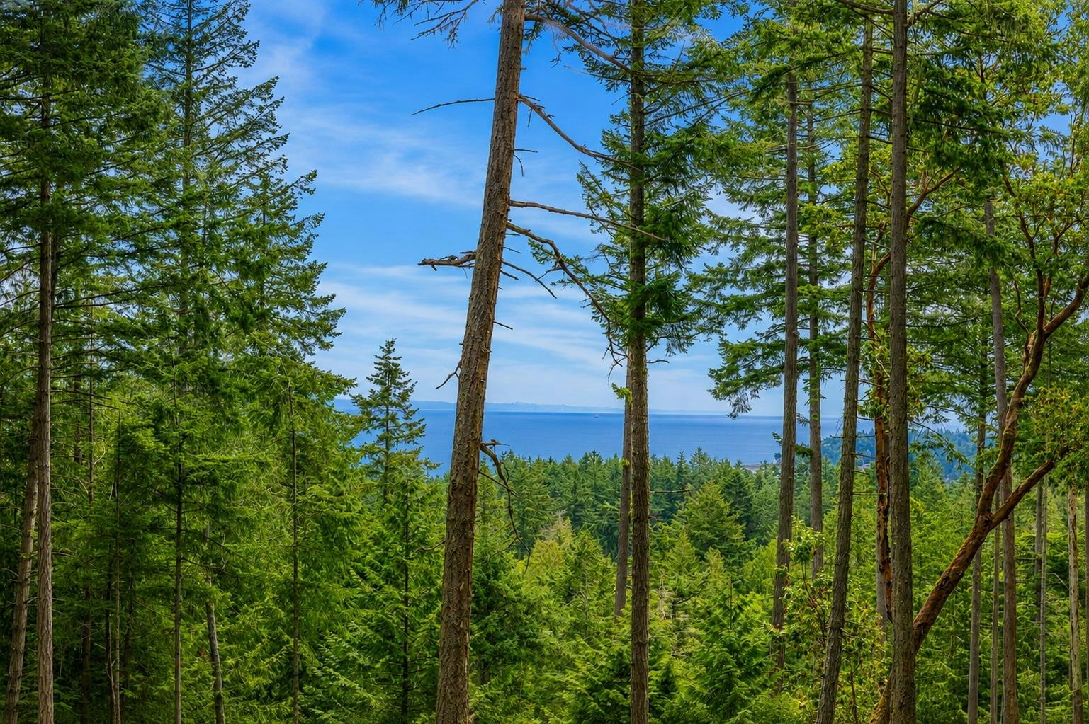 2-861 Bluff Road, Galiano Island, BC, V0N 1P0