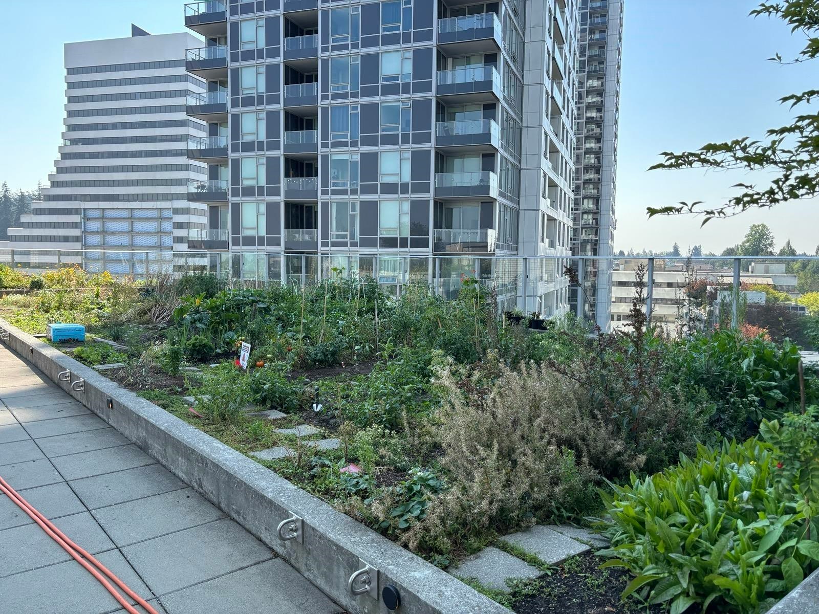 606-5470 Ormidale Street, Vancouver, BC, V5R 0G5 - 20