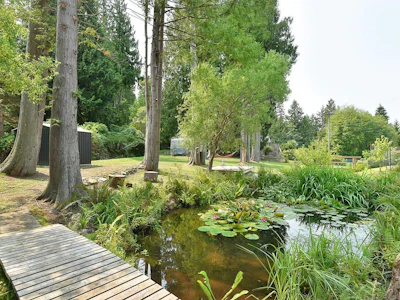 13031 Narrows Road - 3