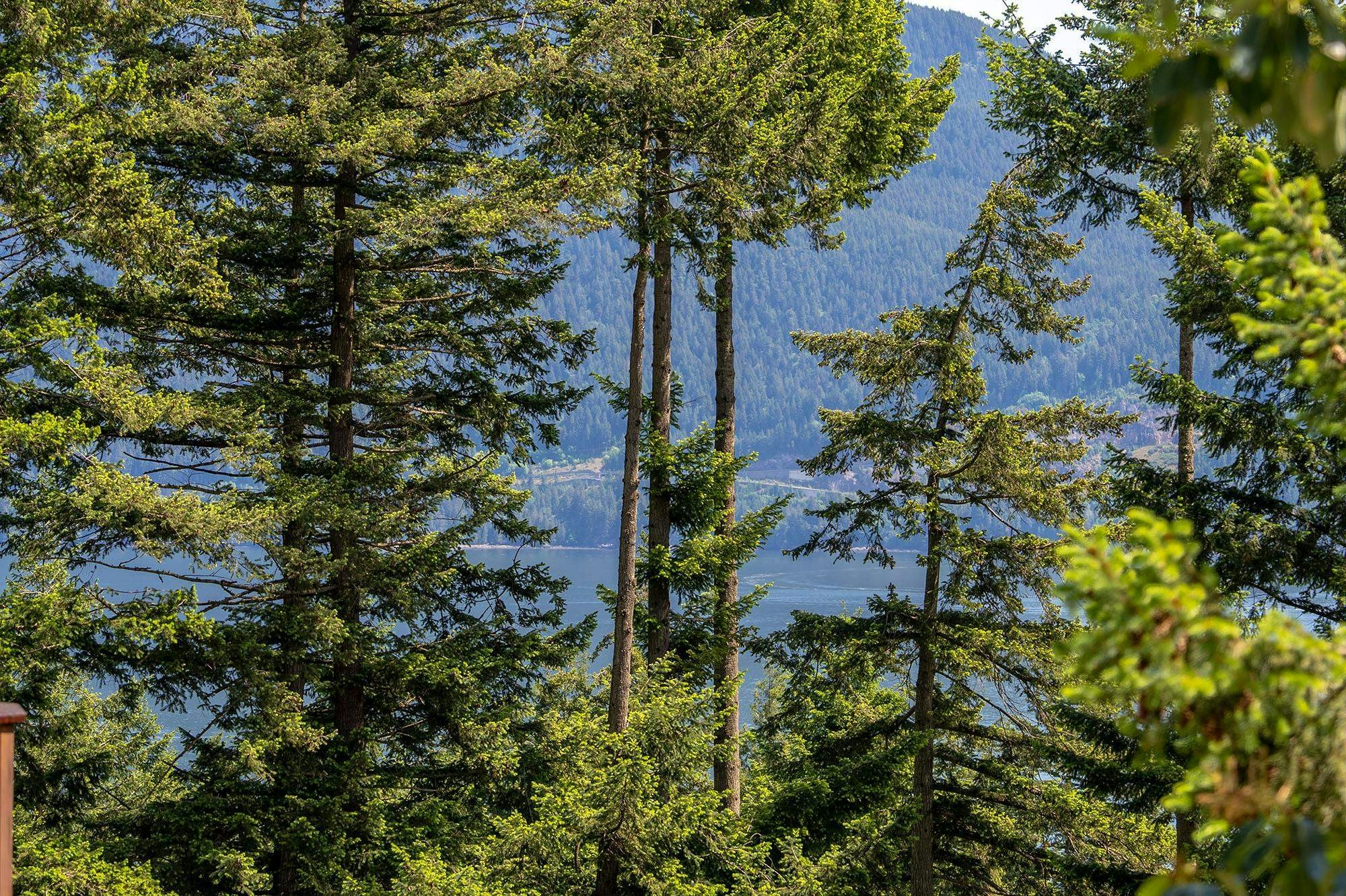 342 Creek Road, Bowen Island, BC, V0N 1G1 - 8
