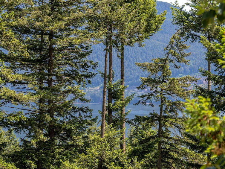 342 Creek Road, Bowen Island, BC, V0N 1G1 - 8