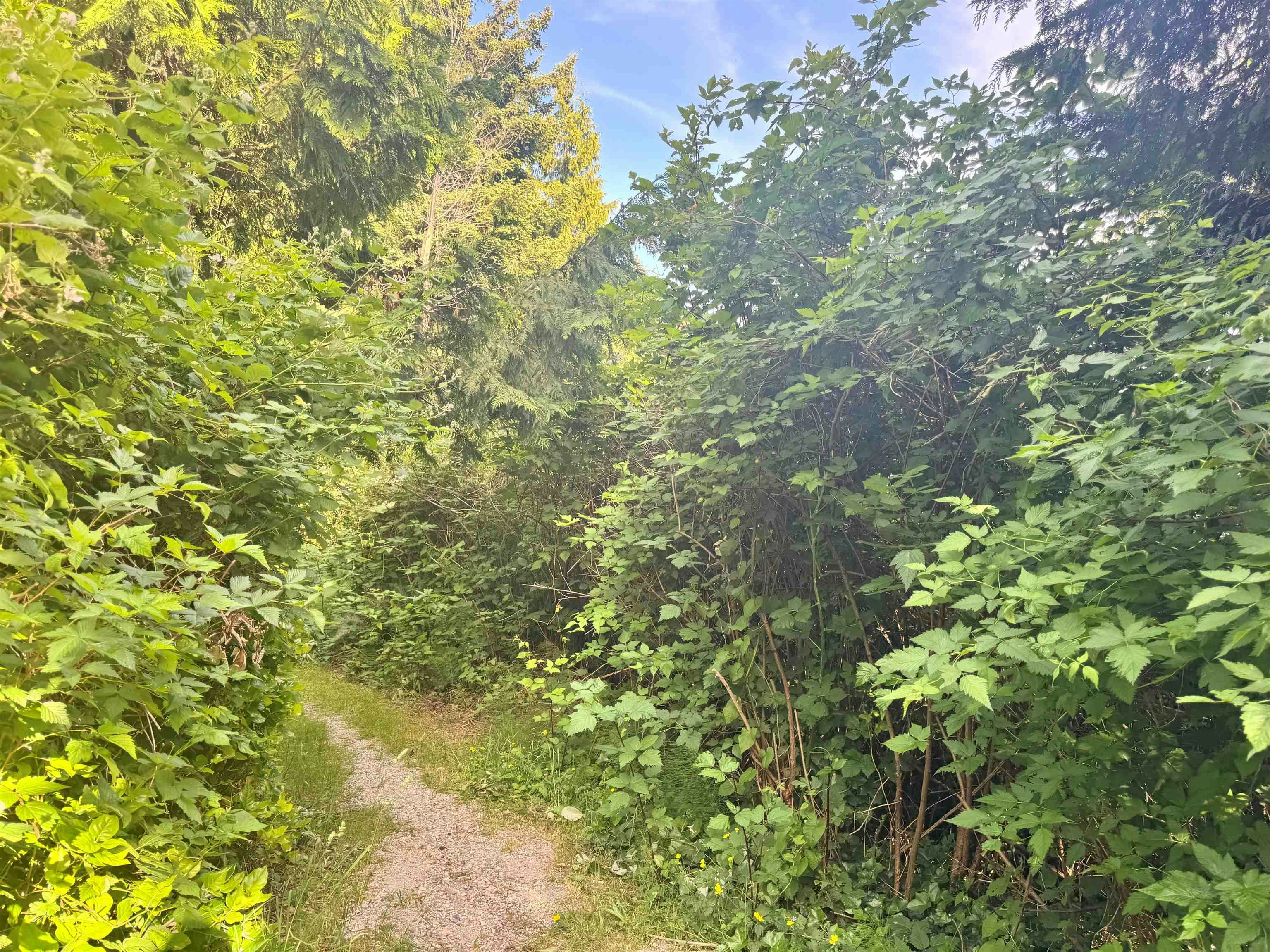 7065 Dale Road, Halfmoon Bay, BC, V7Z 0N2 - 38