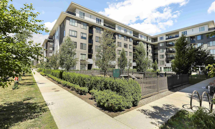 215-15825 85 Avenue