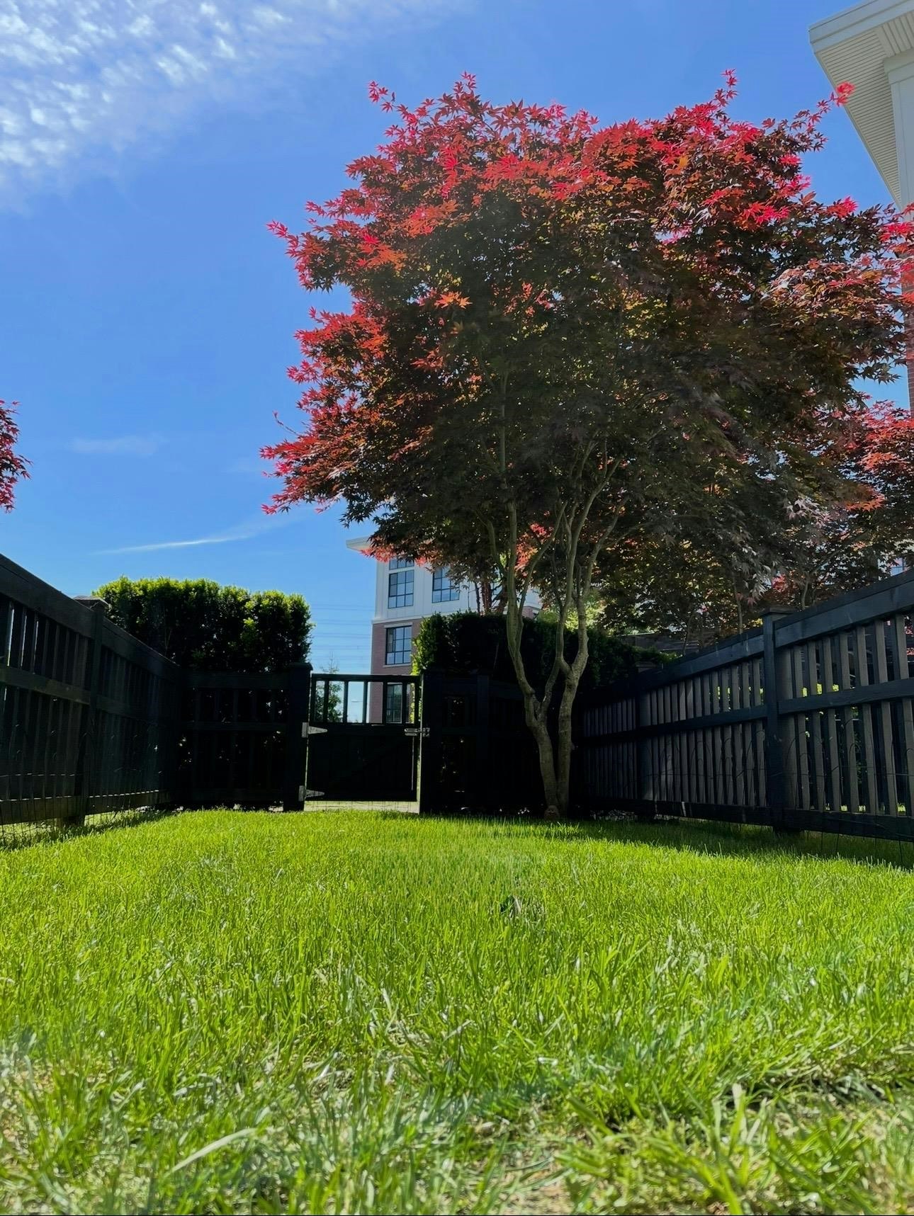 132-15168 33 Avenue, Surrey, BC, V3Z 0N7 - 35