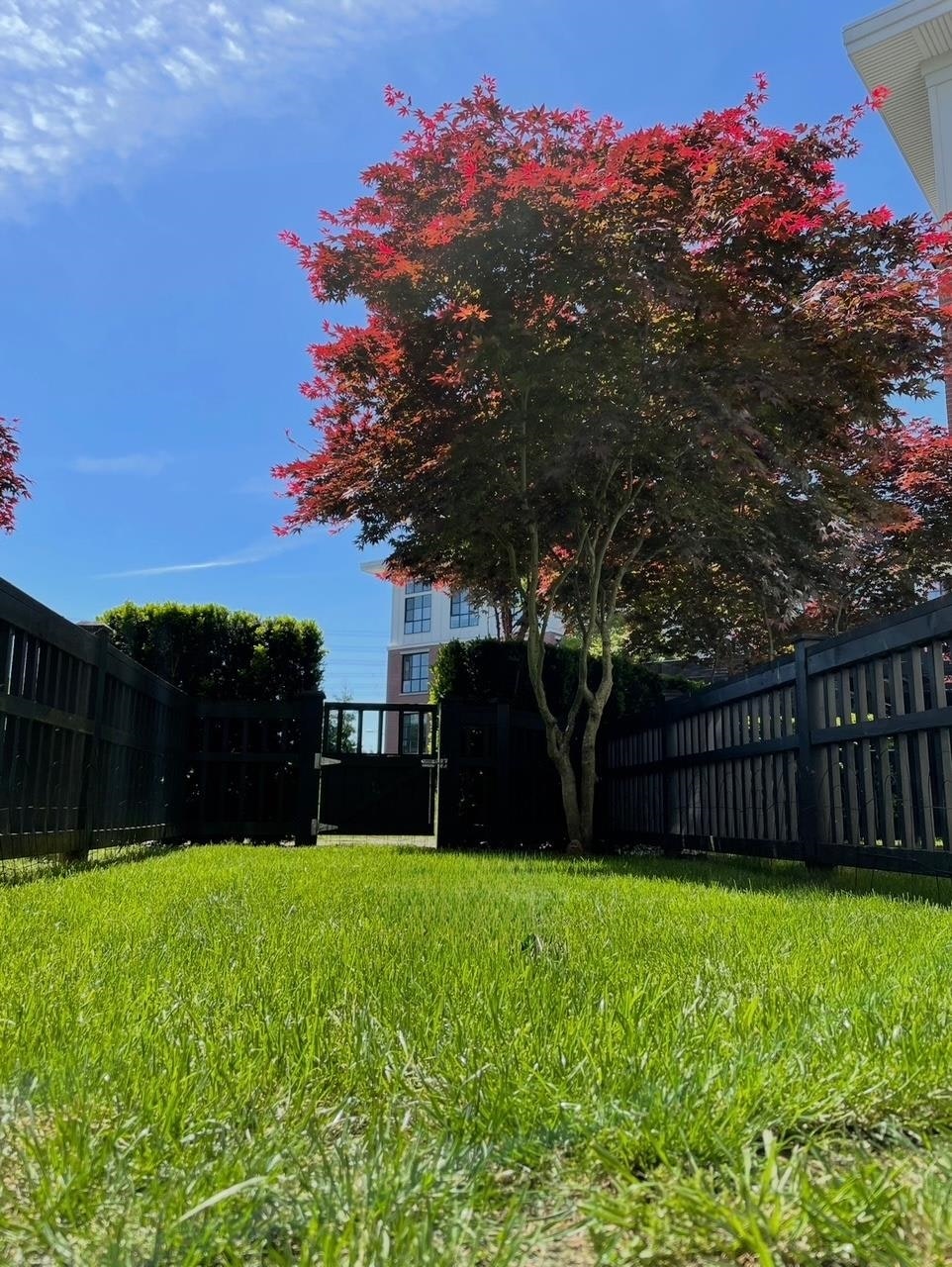 132-15168 33 Avenue, Surrey, BC, V3Z 0N7 - 34