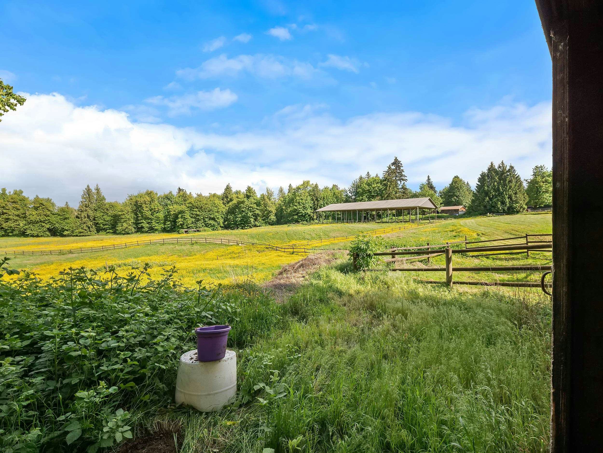 29598 Galahad Crescent, Abbotsford, BC, V4X 2E4 - 5
