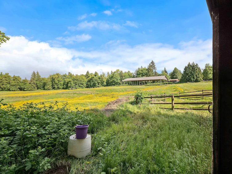 29598 Galahad Crescent, Abbotsford, BC, V4X 2E4 - 5