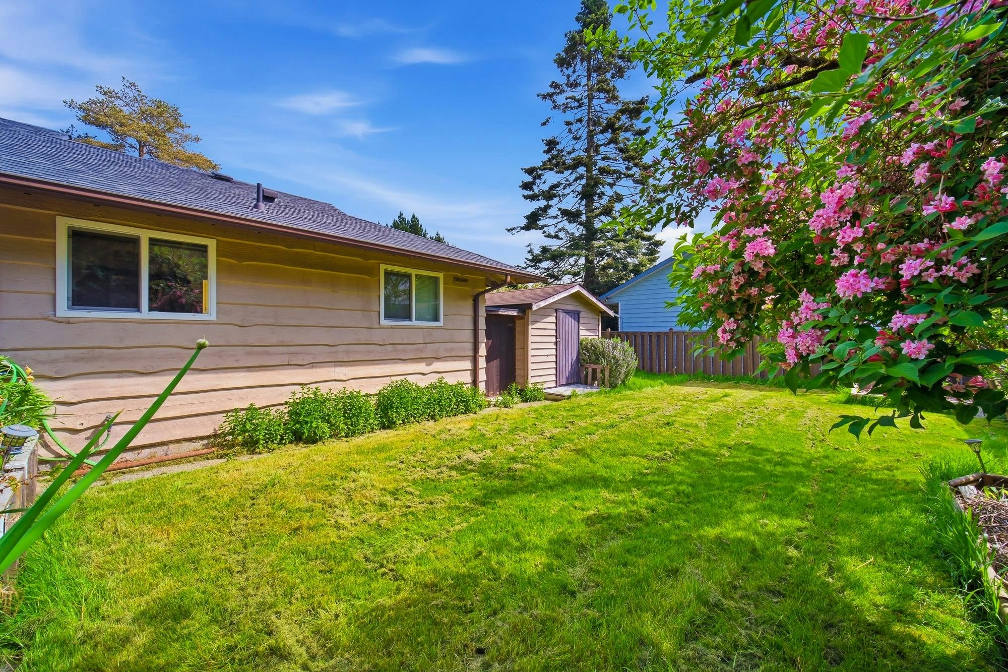 11420 Daniels Road, Richmond, BC, V6X 1M8 - 25