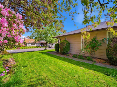 11420 Daniels Road - 3