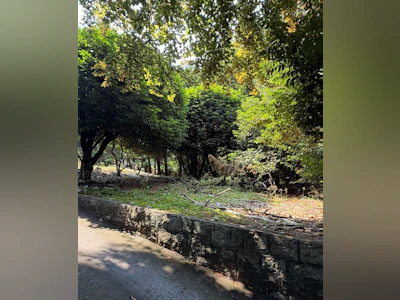 1270 Wolfe Avenue - 3
