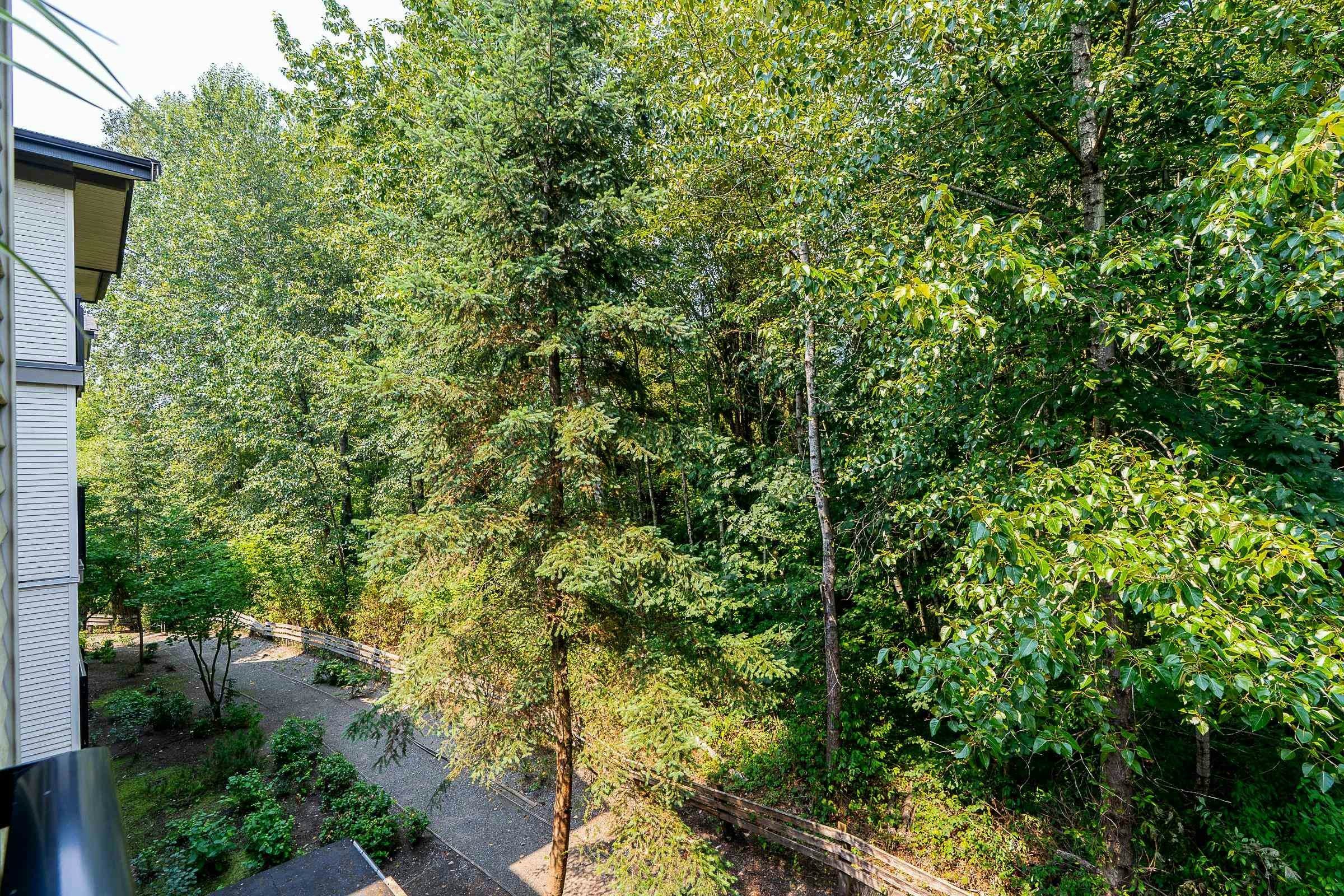 411-3050 Dayanee Springs Boulevard, Coquitlam, BC, V3E 0A2 - 13