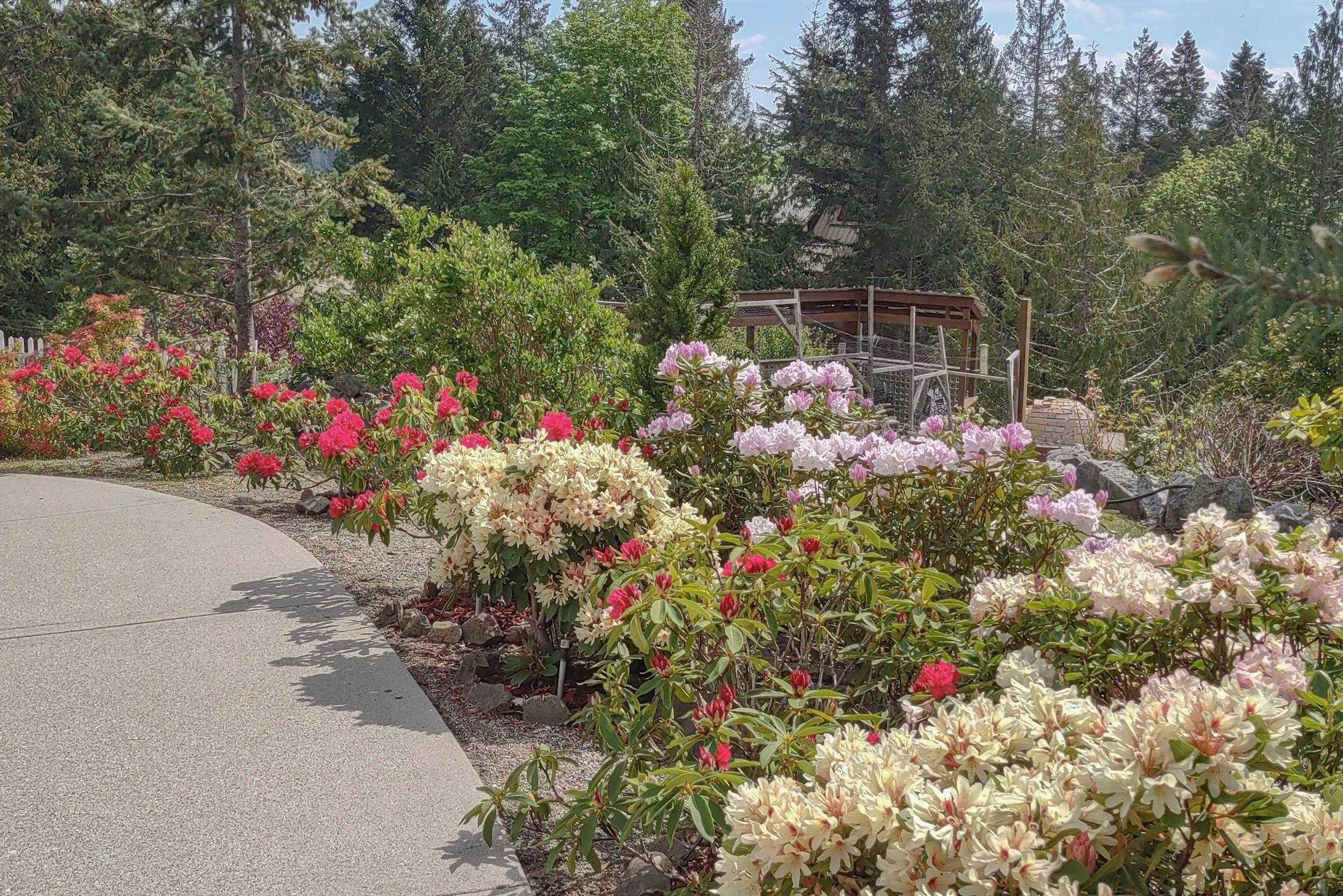 5575 Curran Road, Halfmoon Bay, BC, V7Z 1B4 - 27