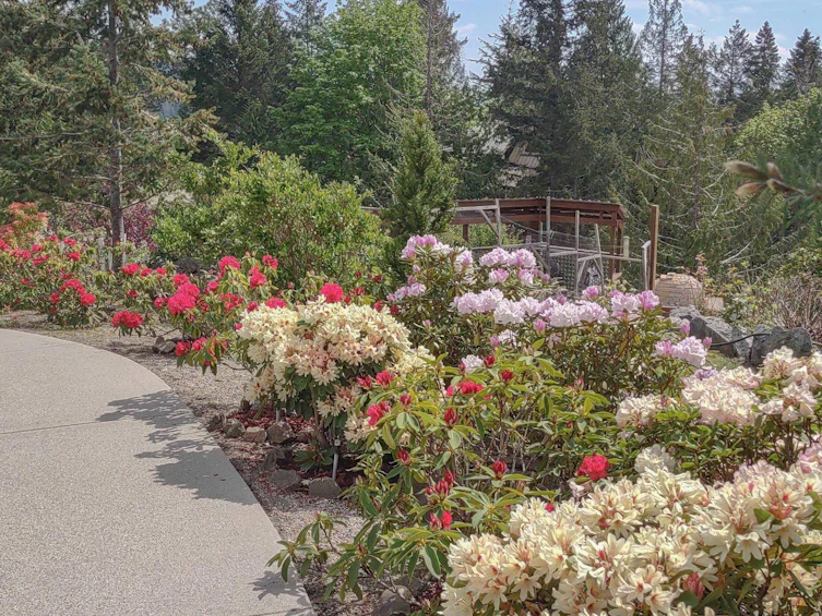 5575 Curran Road, Halfmoon Bay, BC, V7Z 1B4 - 27