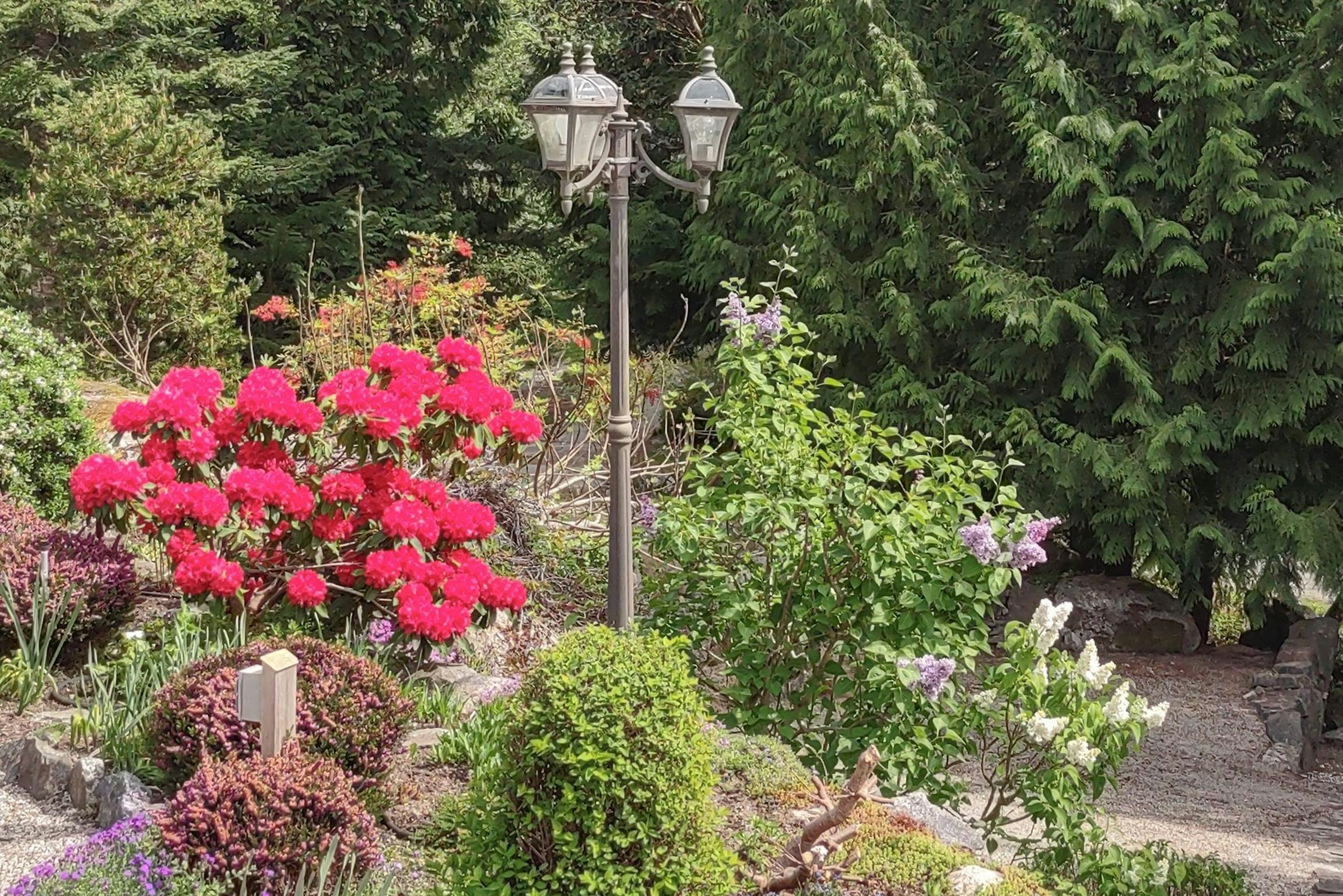 5575 Curran Road, Halfmoon Bay, BC, V7Z 1B4 - 26