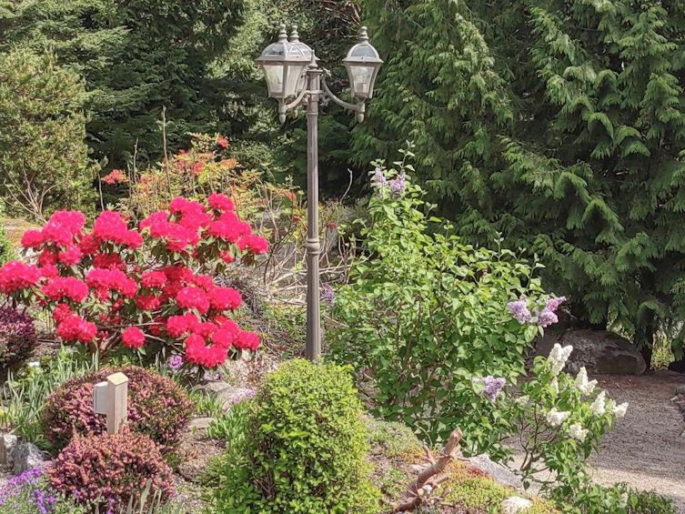 5575 Curran Road, Halfmoon Bay, BC, V7Z 1B4 - 26